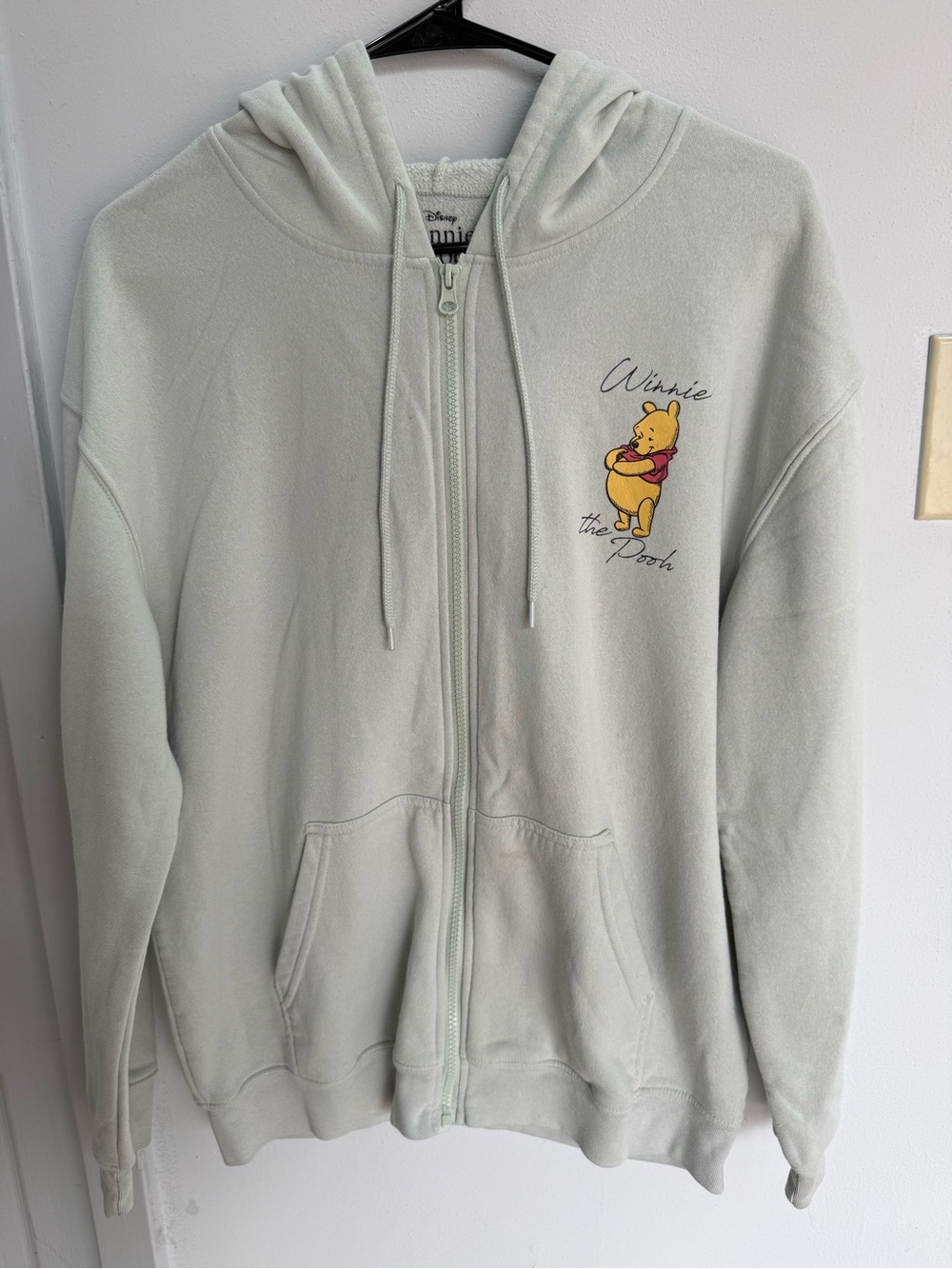 Disney Men's Winnie the Pooh Zip-Up Hoodie in Light Sage